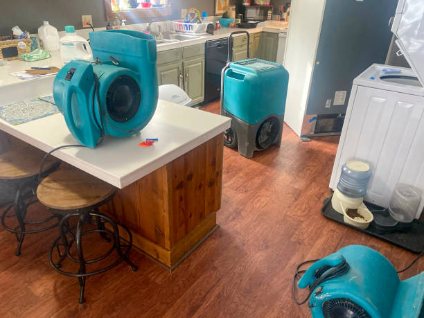 Best Water damage cleanup near me  in Churchville, PA