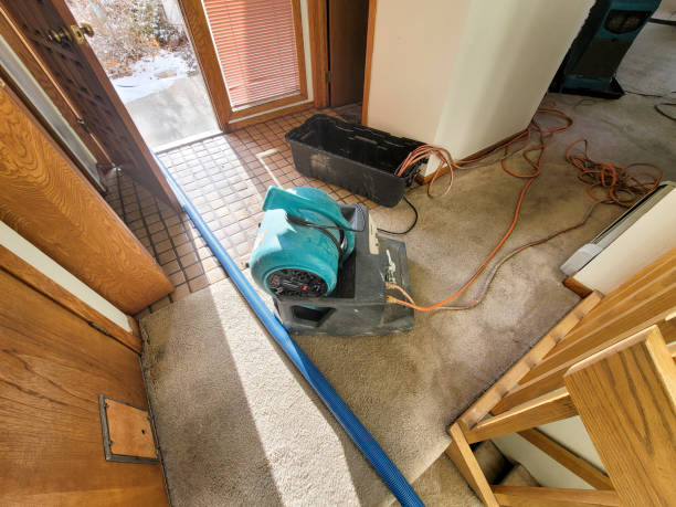 Best Flood damage cleanup  in Churchville, PA
