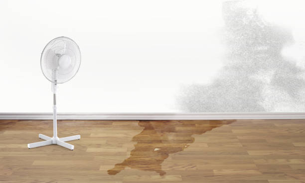 Best Residential water damage restoration  in Churchville, PA
