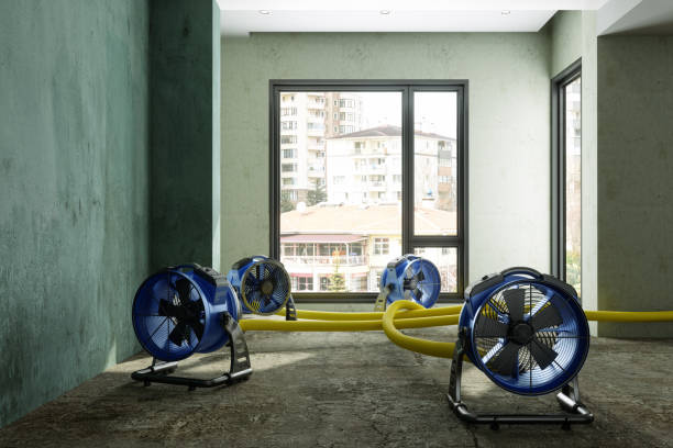 Best Water damage contractors near me  in Churchville, PA
